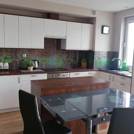 Komfortowy Apartament Dla Turystow I Pracownikow Гданськ Екстер'єр фото