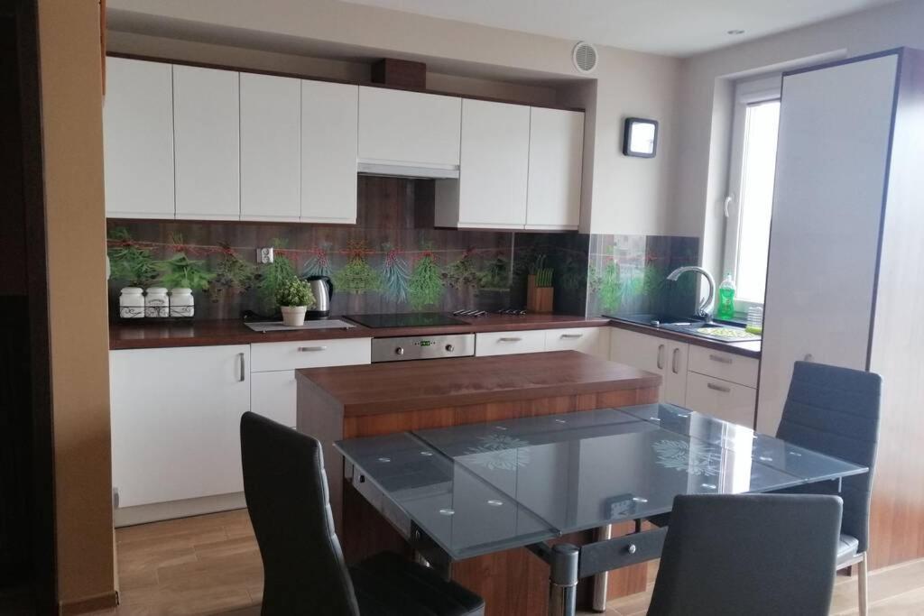 Komfortowy Apartament Dla Turystow I Pracownikow Гданськ Екстер'єр фото